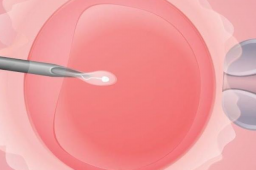 供精是几代试管需要多少钱_人工试管可以选龙凤胎吗_胚胎5ab是什么质量级别？