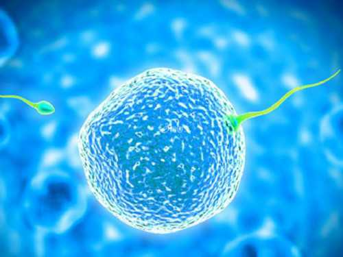 试管婴儿一般是男是女_试管婴儿的孩子优缺点_成都做试管婴儿哪家机构好呢？