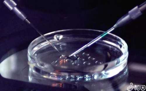 南京试管的费用是多少(南京做试管婴儿医院)