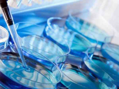 试管婴儿的精子从哪里来_试管一次成功率有多高_专业的试管婴儿移植前后注意