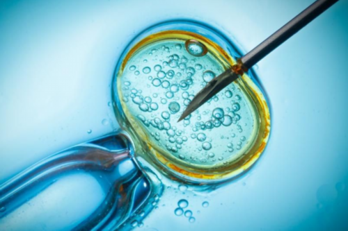 试管婴儿总费用_试管哪个医院成功率高_成都华西目前有三代试管吗？三代试管