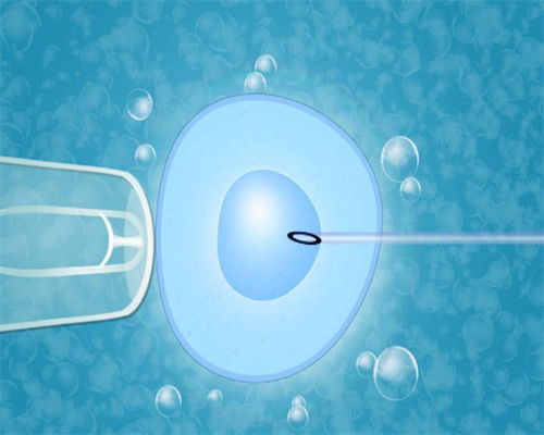 [南京试管一般选择几代]_768yY_620C1_着床成功排出的白带长啥样？有图片吗？_3