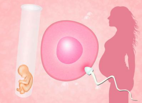 一二代试管婴儿可以选择男女吗_试管双胎的龙凤胎多吗_做试管婴儿的女性促排