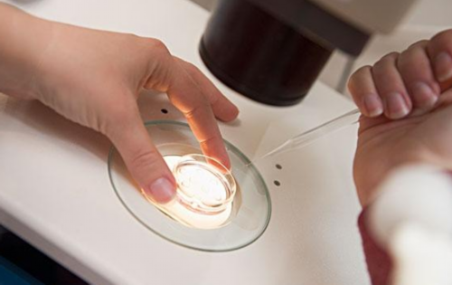 试管一般移植几个胚胎_试管婴儿专家免费咨询_男性精子成活率低于百分之三十