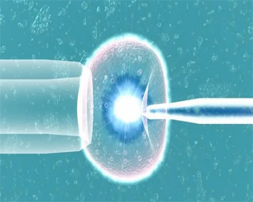 俄罗斯试管婴儿选一助就孕_二代试管婴儿可以选择男女性别吗_pqq和辅酶q10哪个