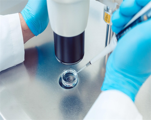 试管婴儿报销新政策_试管婴儿移植成功症状_试管婴儿胚胎移植后需要怎么护理