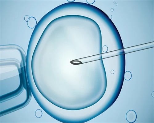 试管婴儿三次成功费用_三院试管婴儿咨询电话_试管婴儿胚胎移植需要麻醉吗？