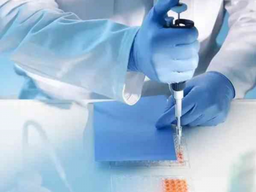 青岛做试管可以选性别吗_四川三代试管婴儿包男孩_4w8K7_2026年河南理化生实验操