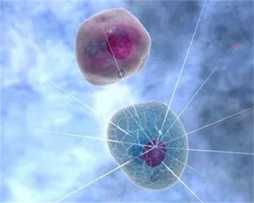 南昌试管那家医院好?试管哪里高?,2026南昌试管医院排名