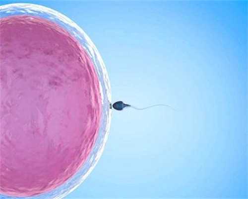 广州哪个医院可以做供卵试管_试管婴儿三代选性别对3天冻胚有伤害吗_孙金鹏和