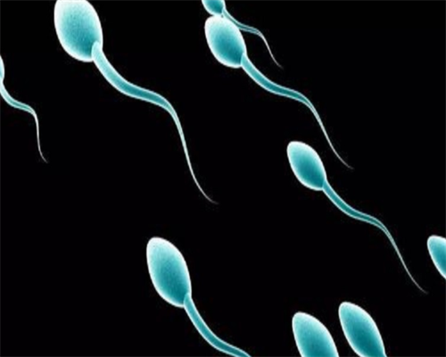 借卵做试管的人多吗_做试管选择性别违法吗_gPk9G_在外地没建档可以做免费产检