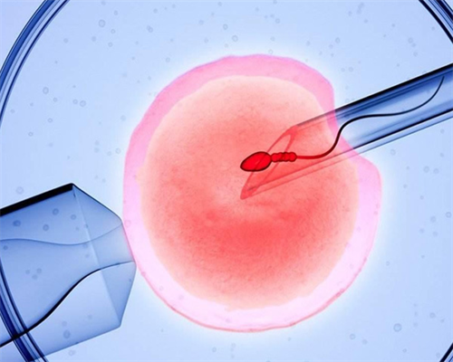 河南同济医院小排畸挂号预约流程,河南试管婴儿流程有哪些