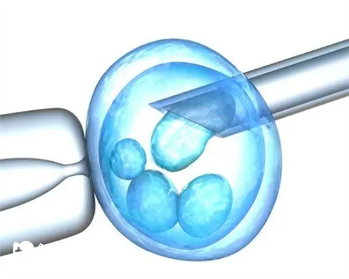 试管婴儿可以做龙凤胎多少钱_湘雅医院试管可以选择男女吗_网传孕初期1一3月