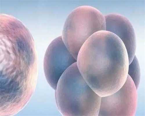 第三代试管婴儿咨询_第三代试管婴儿成功率_美国试管婴儿移植3天胚胎好还是