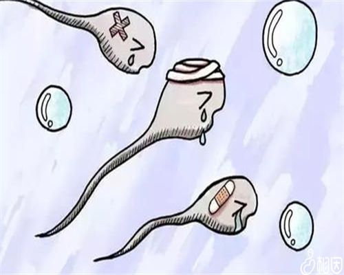 在做四代试管婴儿多少钱_40岁以上试管婴儿成功率_私人海南孕妈 12026海南7家试