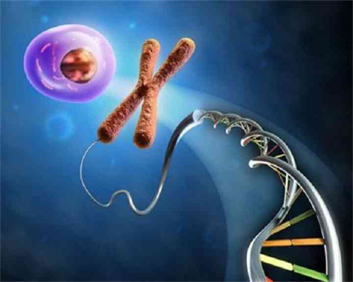 南京供卵哪家好 南京大学医学院附属鼓楼医院 ‘香港验血报告是女孩b超是男孩