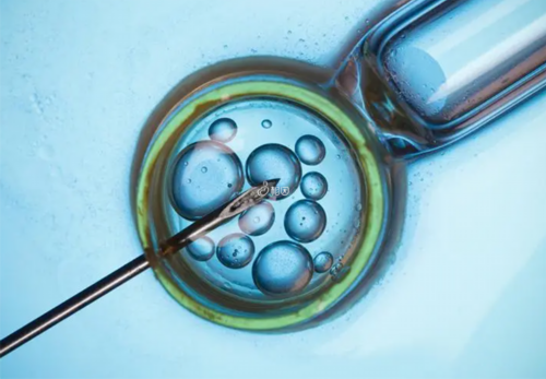 南京做助孕能生男孩吗 江苏省妇幼和南京市妇幼哪个做试管婴儿比较好？ ‘三