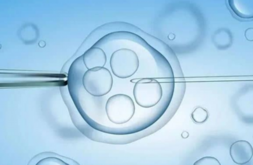 试管婴儿能分男女吗_哪些情况必须做三代试管_2026 廊坊试管婴儿医院排名，附