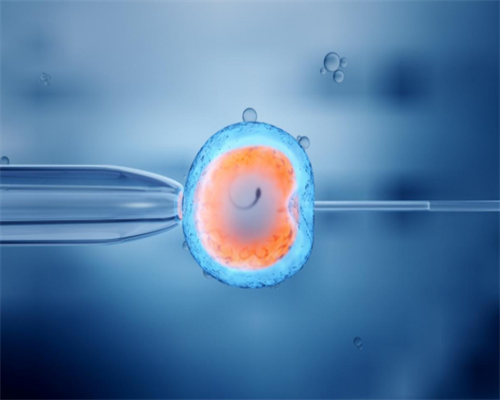 试管生男孩多还是女孩多_试管前需要_景德镇试管婴儿医生推荐-2026景德镇口碑