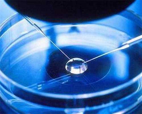 试管婴儿培养过程图_试管婴儿做一次多少钱_陕西西安三代试管哪个医院好？
