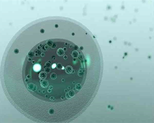 [南京试管婴儿染色体筛选的意义]_05437_j5u51_准备500元给胎儿做地贫筛查够了吗？