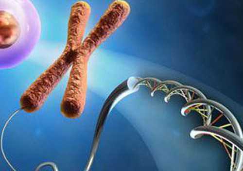 广州本地供卵试管机构排名，附试管试管机构地址一览！