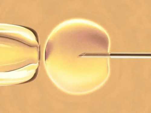 南京有谁需要助孕找我 南京鼓楼医院一次试管婴儿要多长时间？ ‘怀孕初期胎