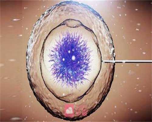 试管婴儿选择性别违法吗卫生部门来检查_卵巢早衰可以供卵试管吗_毓医健康谈