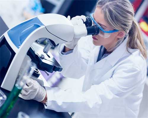 试管婴儿成功率高吗_试管婴儿检查项目明细表_正常能怀孕.还能去做试管婴儿吗