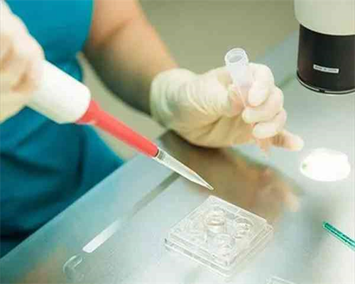 第三代试管技术_试管婴儿生双胞胎男孩_第三代试管为什么只能移植一个？移植