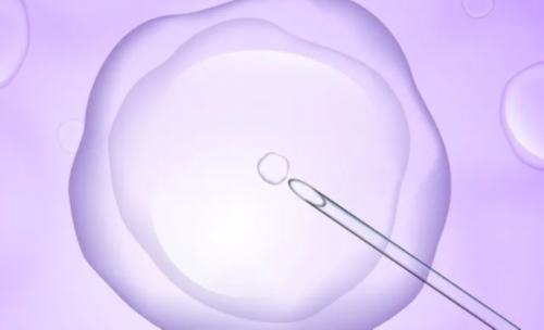 [南京上海试管可以选性别吗]_18356_600F7_一对地贫夫妇的健康宝宝_B4Srt_4W3ek