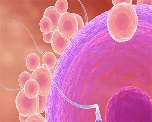 试管婴儿哪个步骤最疼_试管婴儿医玛丽亚_2026新余试管婴儿医院大全三代试管费