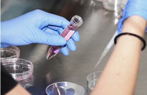 供卵试管要十几万吗_一代试管挑选精子吗_为什么有人用了日本林卡尔却还是生