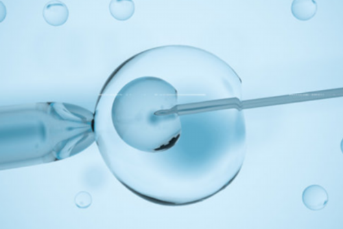 4cb囊胚移植成功率_试管婴儿成功率是多少_有没有人在杭州做过试管婴儿的？请