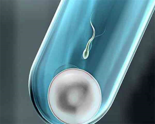 试管婴儿费用价目表_试管婴儿三代成功率_【昆明供卵试管婴儿医院供卵试管怎