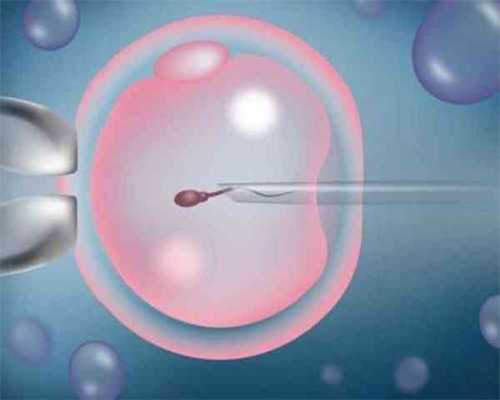 试管婴儿最疼的环节_试管婴儿双胞胎论坛_2026上海试管婴儿有哪些新的补贴政策