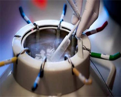 第三代试管婴儿聪明吗_三代试管筛查成功率_试管婴儿手术后要如何护理?