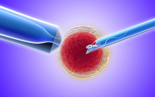 长春市富强社区新时代志愿巡视团：一抹志愿红 最美风景线
