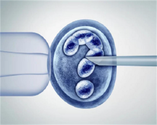 想要试管婴儿龙凤胎_哪里可以做试管龙凤胎_唐山市妇幼保健院生殖遗传科赵建