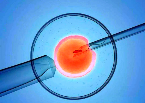 南京试管代怀的优点 南京市妇幼保健院基本信息 ‘怀孕做b超多盖一处房确定是
