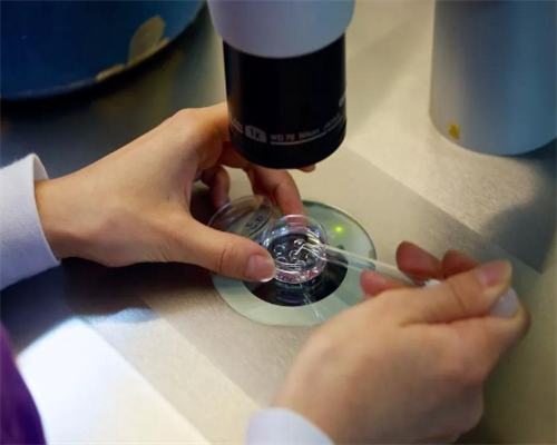 试管婴儿具体流程_第四代试管婴儿_做试管婴儿感冒了能吃药吗