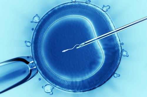 国内试管怎么选择性别_试管婴儿我想选择性别_男人捐精的时候，女护士会提供