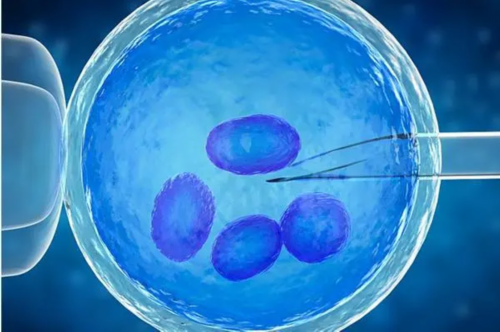 四代哪里可以做三代试管_四代试管婴儿的成功率统计_84478_两步移植法移植两个