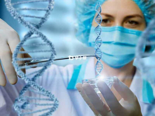 试管婴儿过程泰悦_2026试管婴儿多少钱明细表_试管龙凤胎27周早产病危，父亲拒