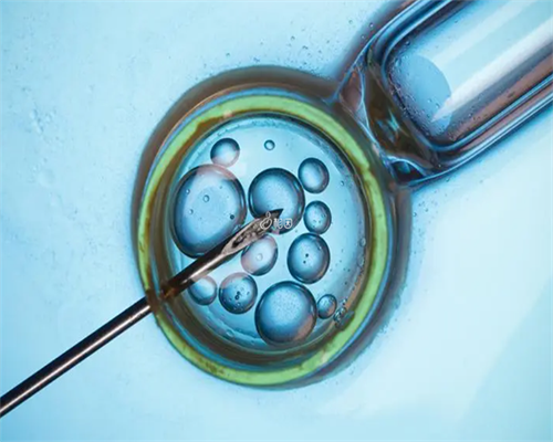 国内试管三代可以选男女吗_泉州供卵试管婴儿_73711_2026 单身女性去泰国做第三