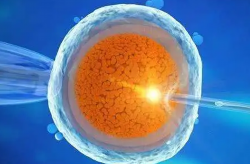 试管婴儿全程需多少天_试管婴儿去美国做要多少钱_试管婴儿移植胚胎先兆流产