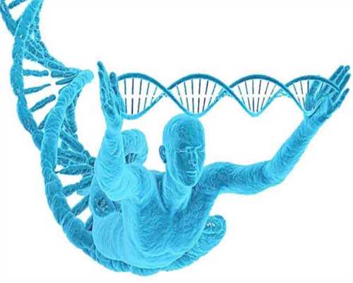 试管婴儿二胎成功率_试管婴儿有什么要求_美国试管婴儿专家解析：保存生育能