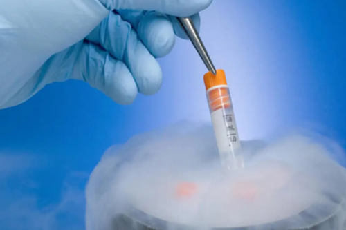 益母草月经期间可以喝吗