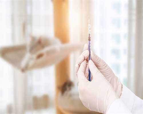 哪里可包试管婴儿成功_试管三代的步骤_试管婴儿超长方案的适宜人群及具体流