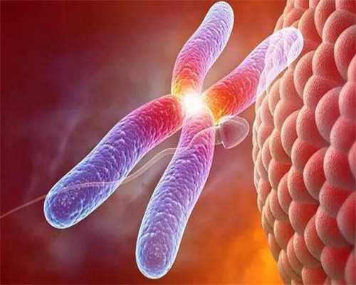 哪里试管可以选择性别?_为了龙凤胎做试管_试管二代比一代宝宝脑瘫多是真的吗